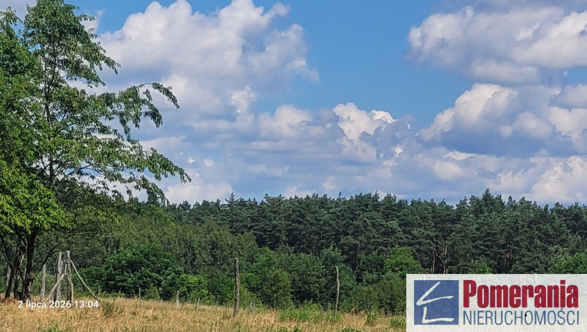 Działka Sprzedaż Wiśniewo