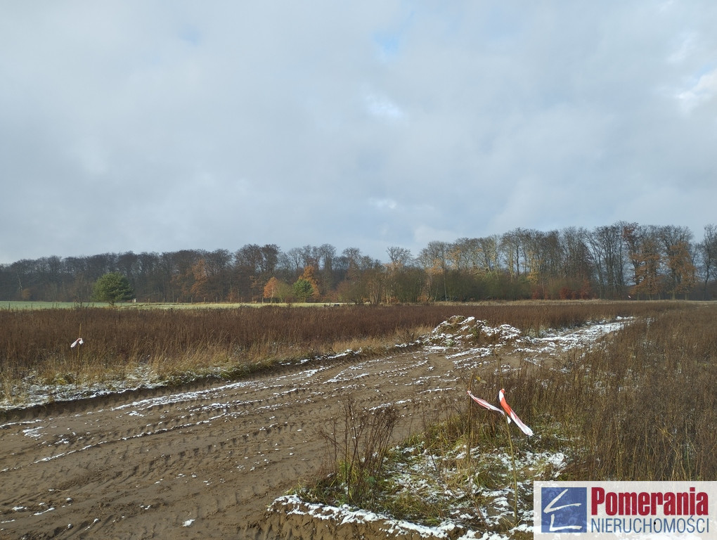 Działka Sprzedaż Dobropole Gryfińskie