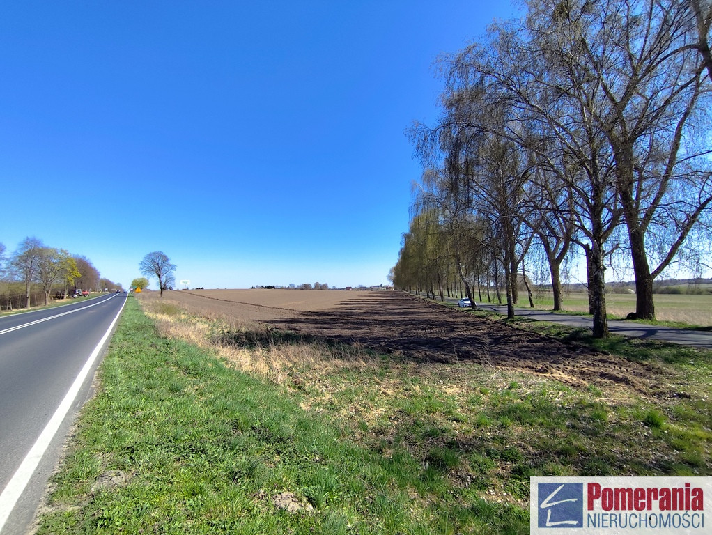 Działka Sprzedaż Wojcieszyn
