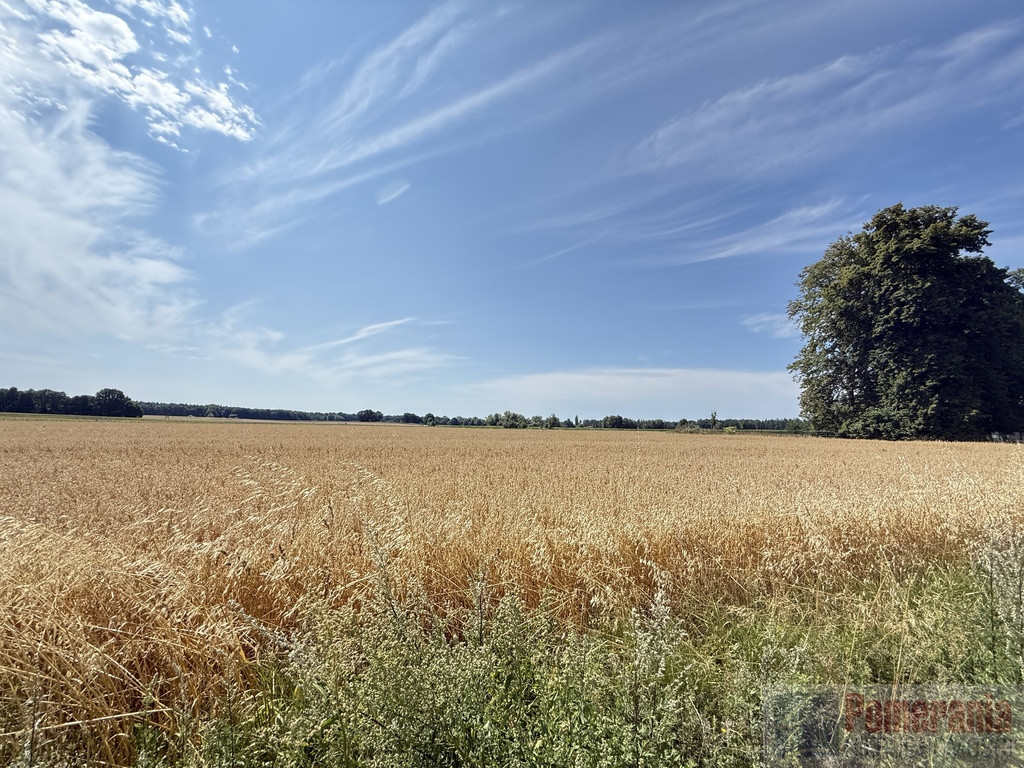 Działka Sprzedaż Oświno