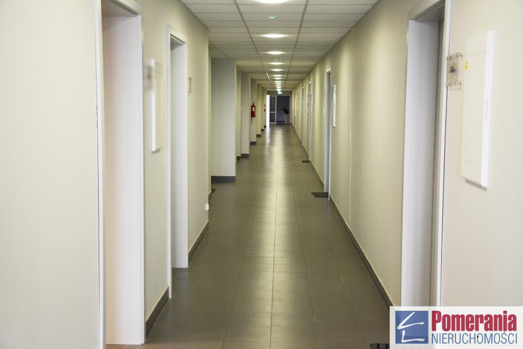 Lokal Wynajem Szczecin Śródmieście