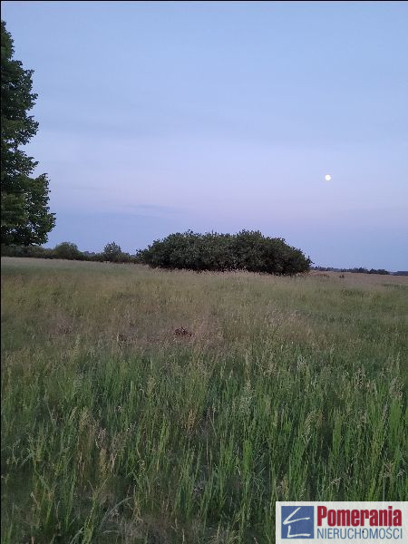 Działka Sprzedaż Lubczyna