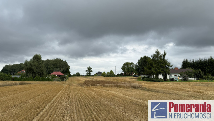 Działka Sprzedaż Kolonia Maszewo