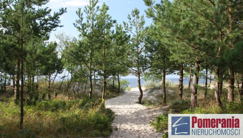 Działka Sprzedaż Rogowo