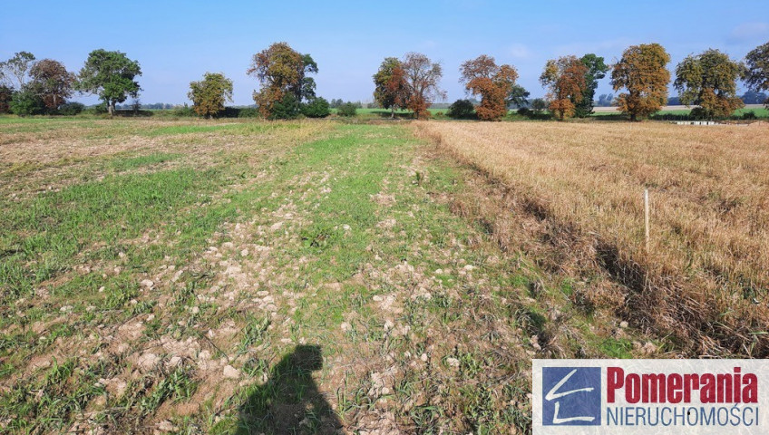 Działka Sprzedaż Kurów