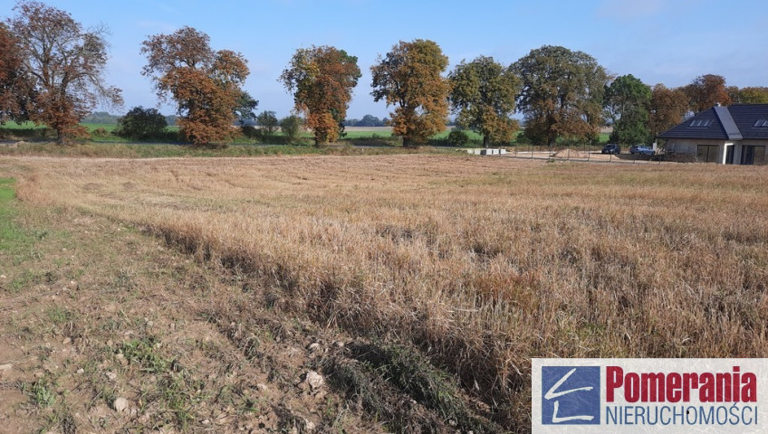 Działka Sprzedaż Kurów