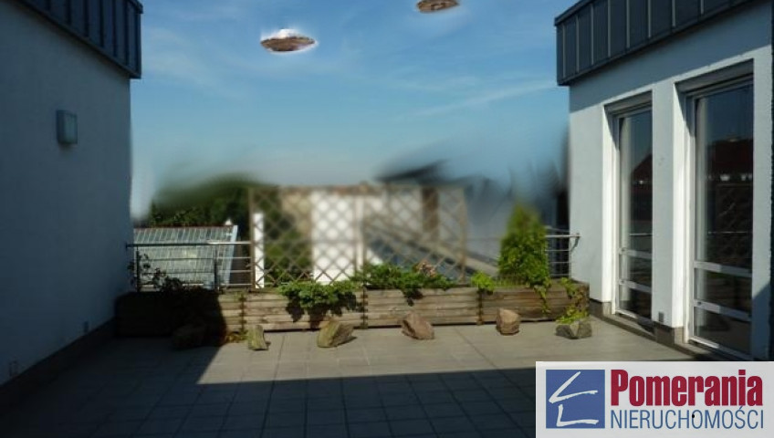 Lokal Wynajem Szczecin Centrum