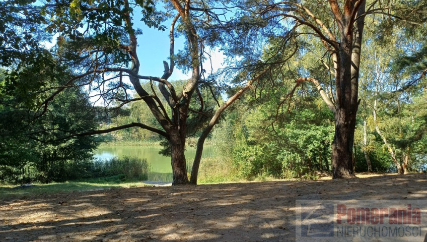 Działka Sprzedaż Bartoszewo
