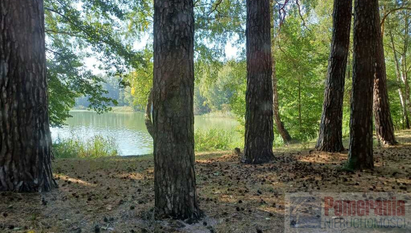 Działka Sprzedaż Bartoszewo