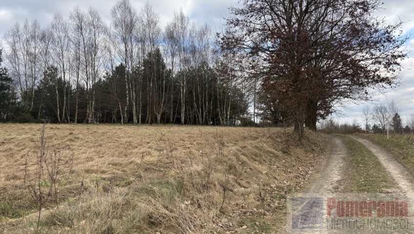 Działka Sprzedaż Kikorze