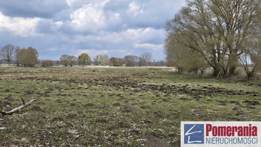Działka Sprzedaż Rzędziny