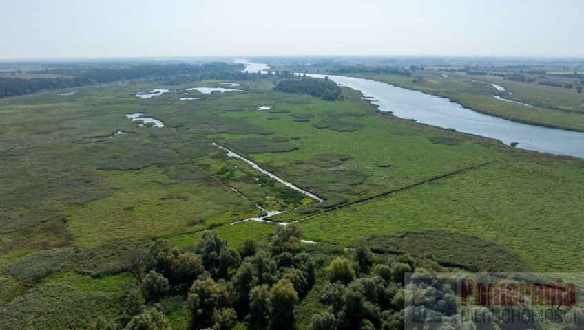 Działka Sprzedaż Stary Błeszyn