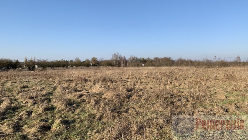 Działka Sprzedaż Żółwia Błoć