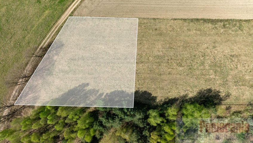 Działka Sprzedaż Kikorze