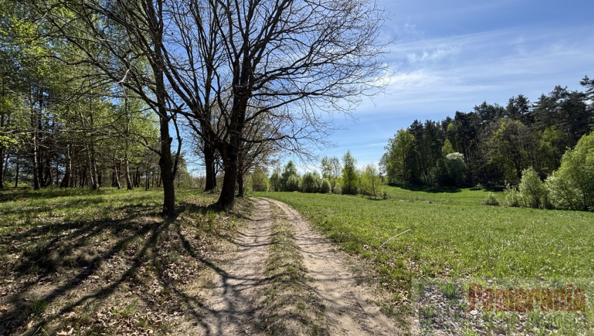 Działka Sprzedaż Kikorze
