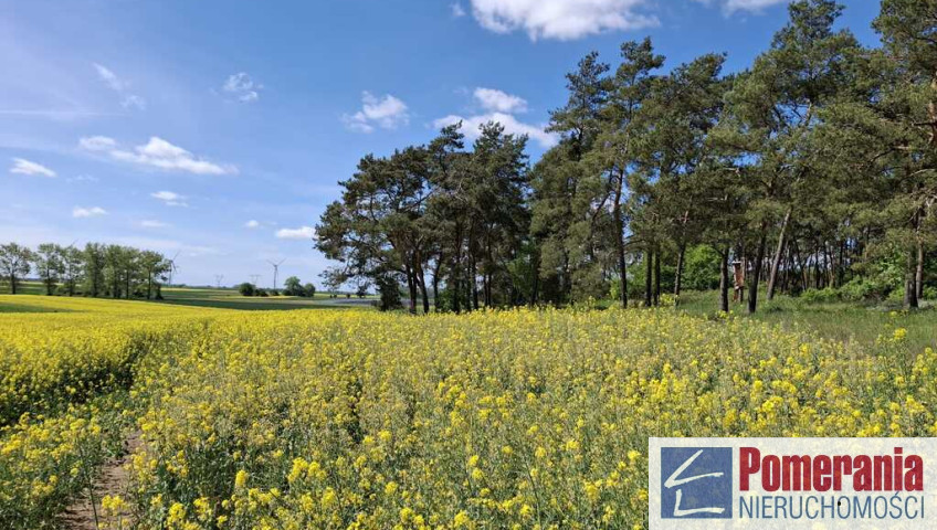 Działka Sprzedaż Parsów