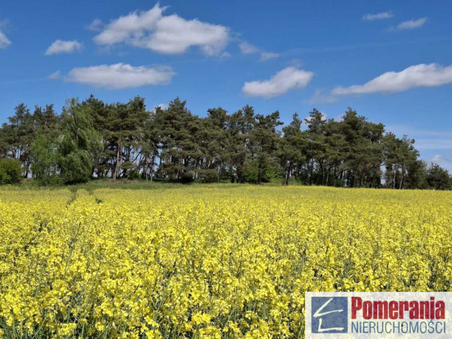 Działka Sprzedaż Parsów