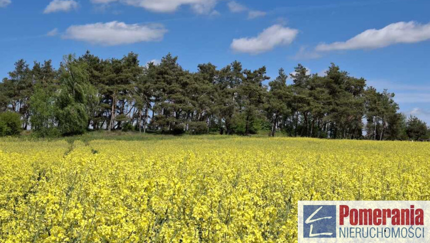 Działka Sprzedaż Parsów