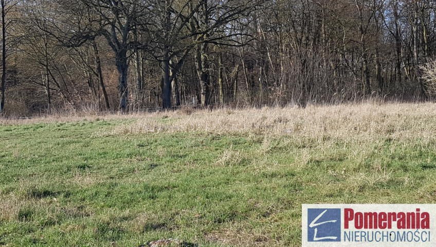 Działka Sprzedaż Kościno