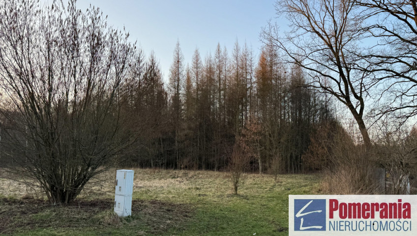 Działka Sprzedaż Błotno Błotny Młyn