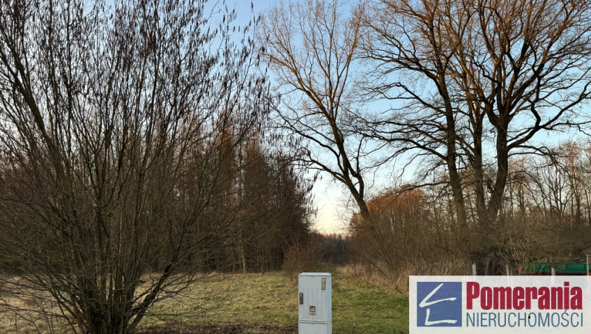 Działka Sprzedaż Błotno Błotny Młyn