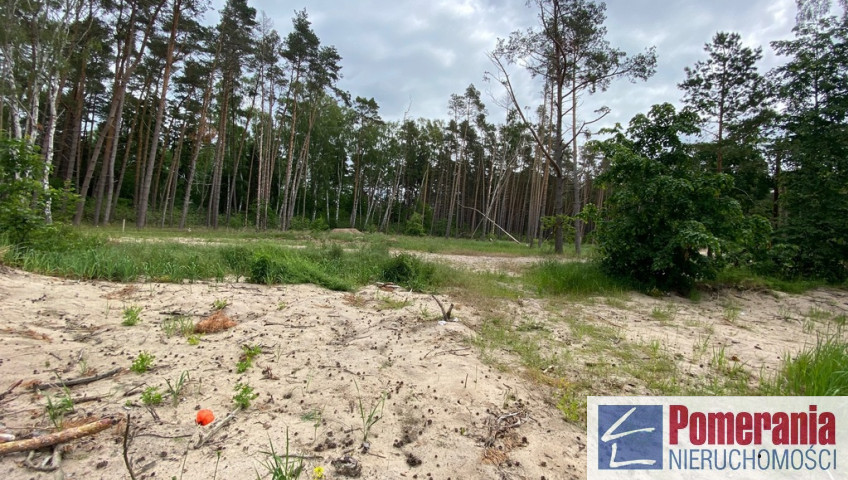 Działka Sprzedaż Dziwnówek
