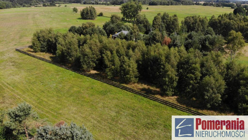 Działka Sprzedaż Dzisna