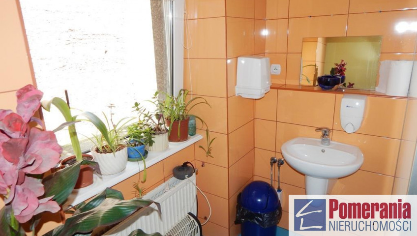 Lokal Wynajem Szczecin Śródmieście-Centrum