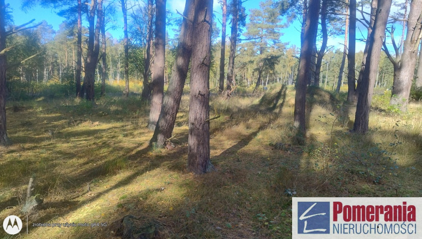 Działka Sprzedaż Dziwnów