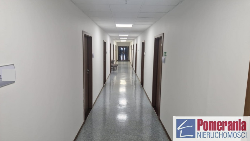 Lokal Wynajem Szczecin Centrum