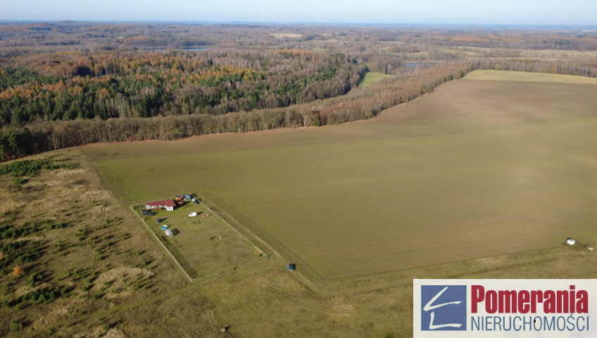 Działka Sprzedaż Storkowo