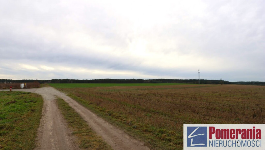 Działka Sprzedaż Przybiernów