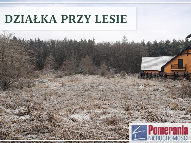 Działka Sprzedaż Pilchowo