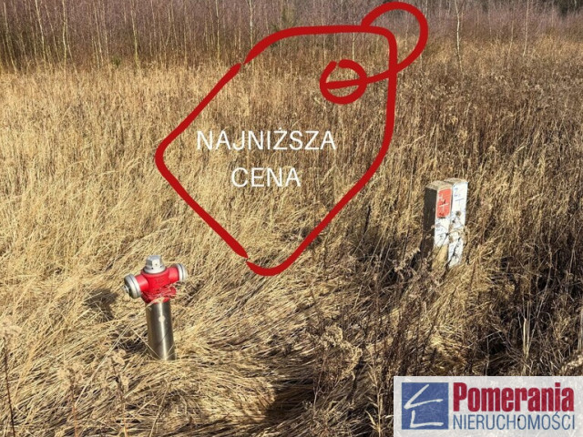 Działka Sprzedaż Żółwia Błoć