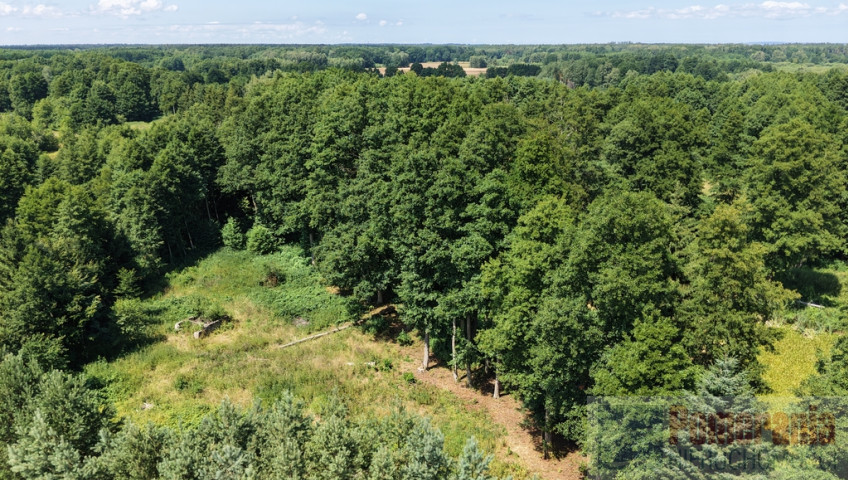 Działka Sprzedaż Uniemyśl