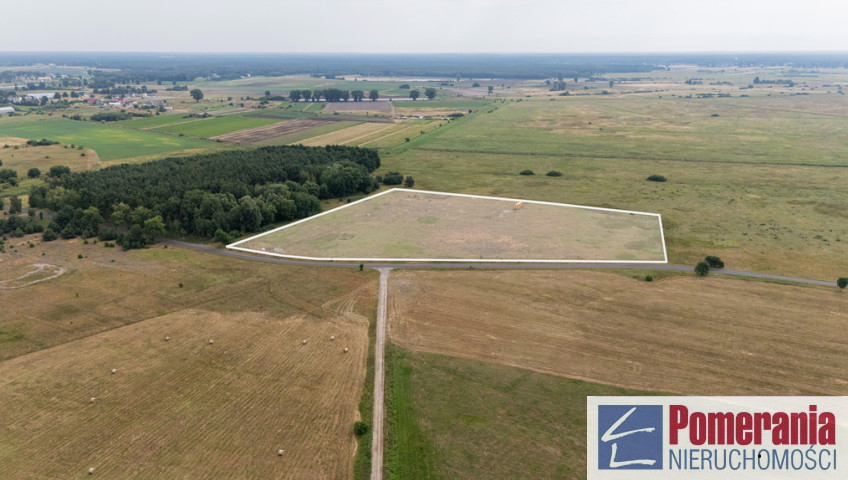 Działka Sprzedaż Lubczyna