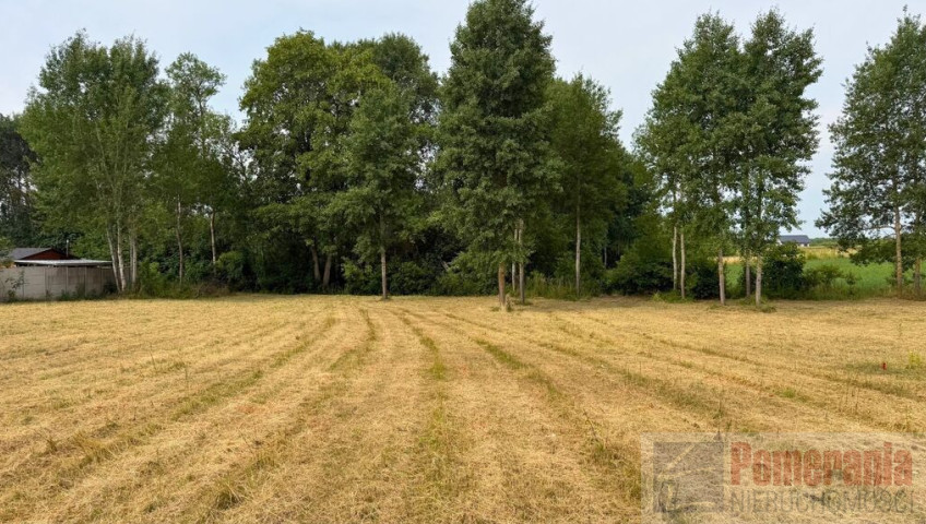 Działka Sprzedaż Marszewo