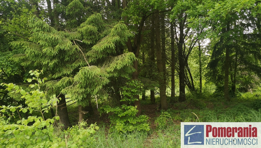 Działka Sprzedaż Szczecin Jezierzyce
