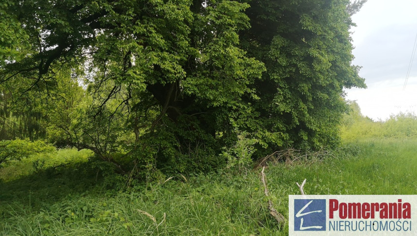 Działka Sprzedaż Szczecin Jezierzyce