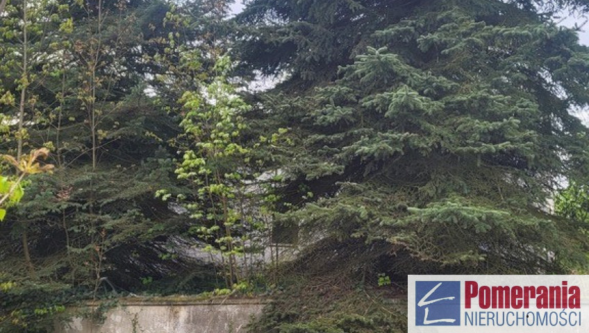 Obiekt Sprzedaż Recz Kolejowa